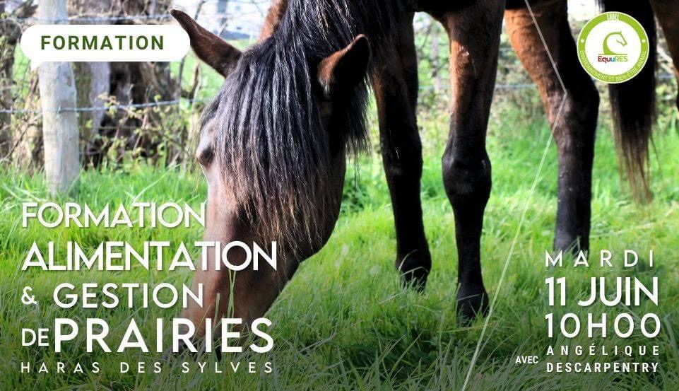 Lire la suite à propos de l’article FORMATION ALIMENTATION ET GESTION DE PRAIRIES